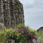 Photo taken by PETER S