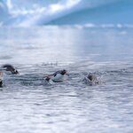 Photo taken by SANDRA V