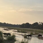 Photo taken by rhonda c