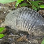 Photo taken by Robin W