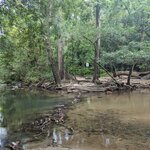 Photo taken by Jason C