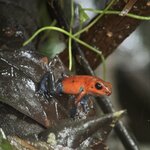 Photo taken by Julie S