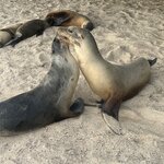 Photo taken by Thomas R