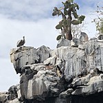 Photo taken by Meggan M