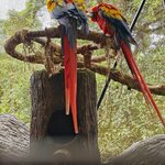 Photo taken by Kathy D