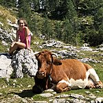 Photo taken by Andrew S