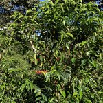 Photo taken by Luke T