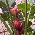 Photo taken by SANTHI S