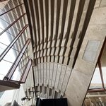 Photo taken by Linnaea M