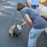 Photo taken by Cheryl L