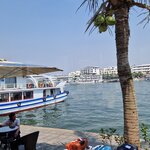 Photo taken by Stephen B