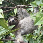 Photo taken by James B