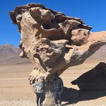 Photo taken by Tehila S