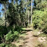 Photo taken by Barbara V