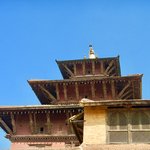 Photo taken by Greg C