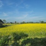 Photo taken by Cayden S