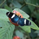 Photo taken by Wilbert A