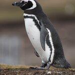 Photo taken by Eric T