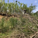 Photo taken by Nitin A