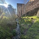 Photo taken by Jen S