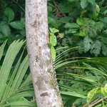 Photo taken by Holly B