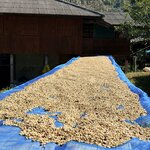 Photo taken by Megan H