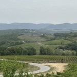 Photo taken by Michelle P