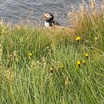 Photo taken by Eliza M