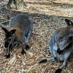 Photo taken by Daniel S