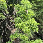 Photo taken by Katie W