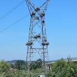 Photo taken by Doug P