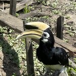 Photo taken by Edit M