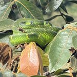 Photo taken by Marc A