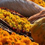 Photo taken by Kristy P