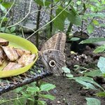 Photo taken by Brooke M