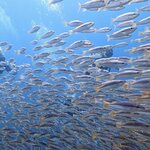 Photo taken by Aya I