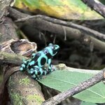 Photo taken by Sarah C