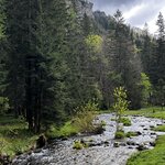 Photo taken by Sylvia S