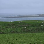 Photo taken by Rand M