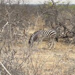 Photo taken by Nigel R