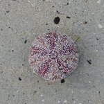 Photo taken by paolo c