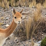 Photo taken by G'nee A