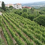 Photo taken by Shree L