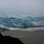 upclose | Photo taken by Grace L