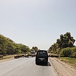 "Traffic jam" in Northern Jordan | Photo taken by Jennifer K