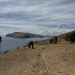 Photo taken by Lisa F