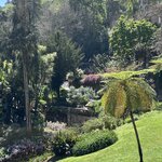 Photo taken by joyce h