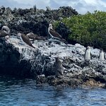 Photo taken by Stephanie A