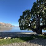 Photo taken by Linda F