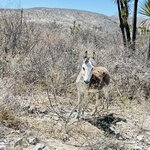 Photo taken by Pacita D